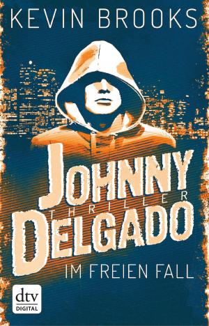 Cover of Johnny Delgado - Im freien Fall