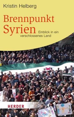 Book cover of Brennpunkt Syrien
