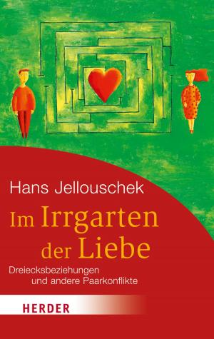 Book cover of Im Irrgarten der Liebe