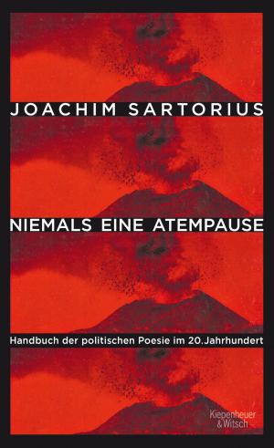 Cover of the book Niemals eine Atempause by John Banville