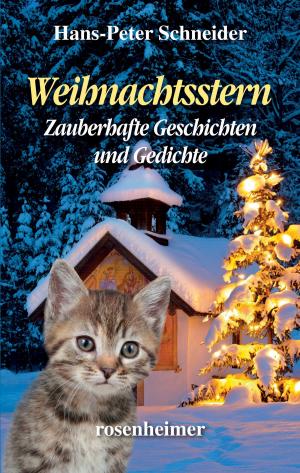 Book cover of Weihnachtsstern - Zauberhafte Geschichten und Gedichte