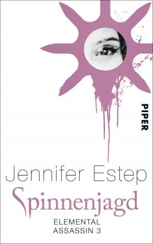 Cover of the book Spinnenjagd by Barbara Trapido