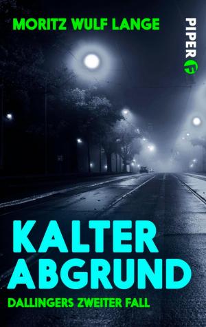 Cover of the book Kalter Abgrund by Regina Meißner