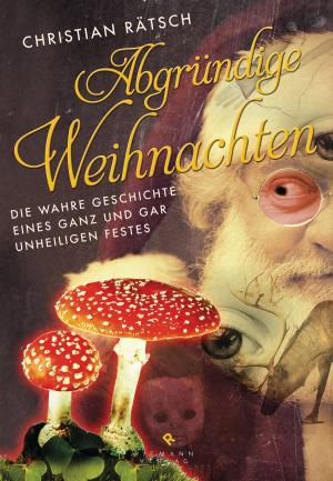 Cover of the book Abgründige Weihnachten by Jeremy Taylor