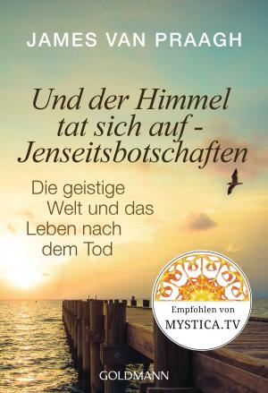 Book cover of Und der Himmel tat sich auf - Jenseitsbotschaften
