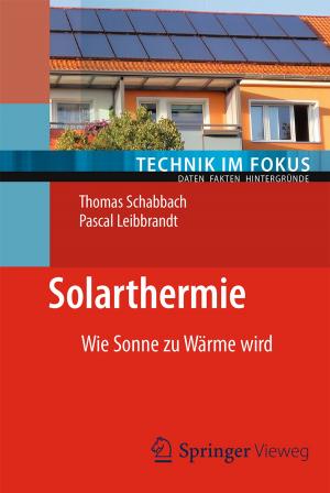 Cover of the book Solarthermie by 