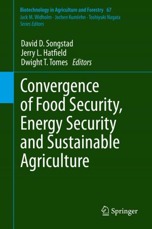 Cover of the book Convergence of Food Security, Energy Security and Sustainable Agriculture by Luigi Ambrosio, Alberto Bressan, Dirk Helbing, Axel Klar, Enrique Zuazua, Benedetto Piccoli, Michel Rascle