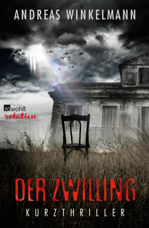 Cover of the book Der Zwilling by Erica Fischer