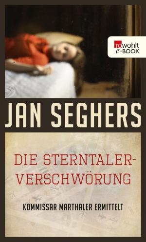 Book cover of Die Sterntaler-Verschwörung