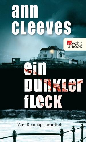 Cover of the book Ein dunkler Fleck by Anna Silvia