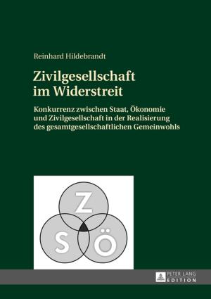 Book cover of Zivilgesellschaft im Widerstreit