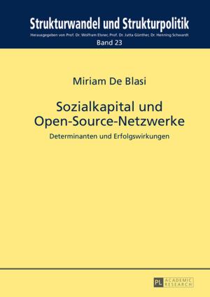 Cover of the book Sozialkapital und Open-Source-Netzwerke by Augie Fleras