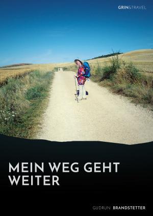 Cover of the book Mein Weg geht weiter - Nach schwerer Krankheit auf dem Jakobsweg by Anna-Theresa Lienhardt