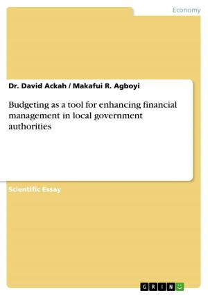 Cover of the book Budgeting as a tool for enhancing financial management in local government authorities by Moritz Herrmann