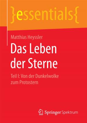 Cover of the book Das Leben der Sterne by Bernd Heesen, Wolfgang Gruber