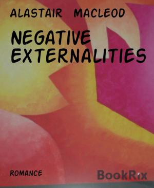 Cover of the book Negative Externalities by Jorge H. Villegas Alzate