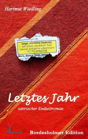 Cover of the book Letztes Jahr by Daniel Schmitz