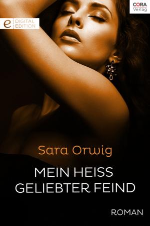 Book cover of Mein heiß geliebter Feind