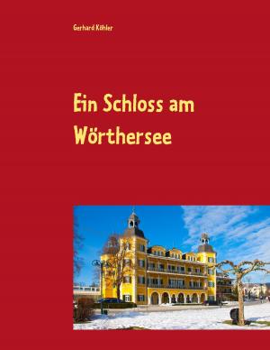 Cover of the book Ein Schloss am Wörthersee by Gustave Flaubert