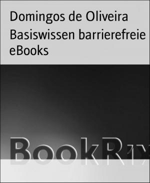 Book cover of Basiswissen barrierefreie eBooks