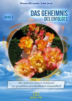 Cover of the book Das Geheimnis des Erfolges by Bernd Michael Grosch