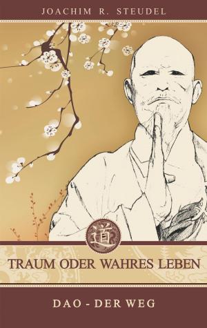 Cover of the book Traum oder wahres Leben by Dennis Weiß