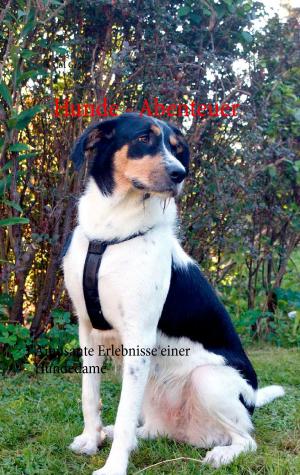 Cover of the book Hunde - Abenteuer by Christine Cramer