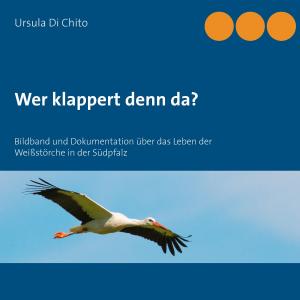Cover of the book Wer klappert denn da? by C. S. Evans