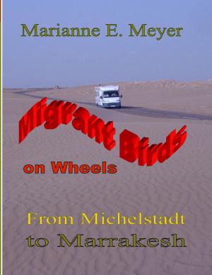 Book cover of Migrant Birds on Wheels