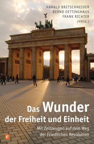 Cover of the book Das Wunder der Freiheit und Einheit by Jonas Zachmann, Doro Zachmann