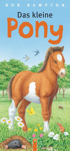 Cover of the book Das kleine Pony by Petra Kulbatzki