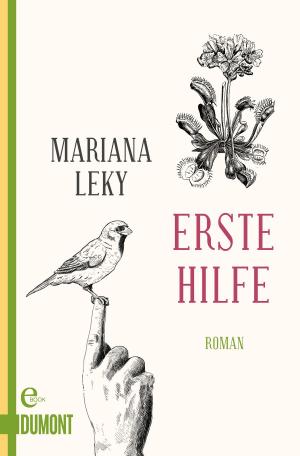 Cover of the book Erste Hilfe by Helmut Krausser