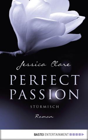 Cover of the book Perfect Passion - Stürmisch by Jason Dark