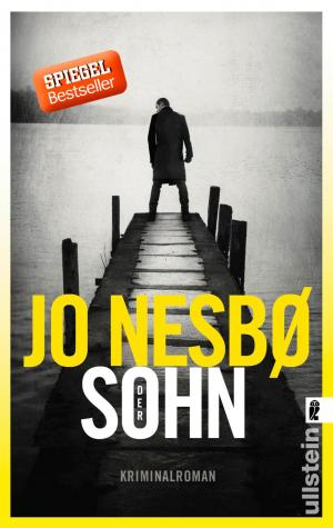 Cover of the book Der Sohn by Volker Klüpfel, Michael Kobr