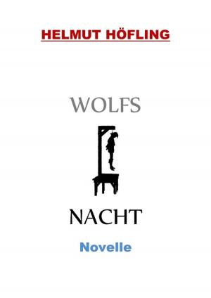 Cover of the book Wolfsnacht by Andreas Bremer