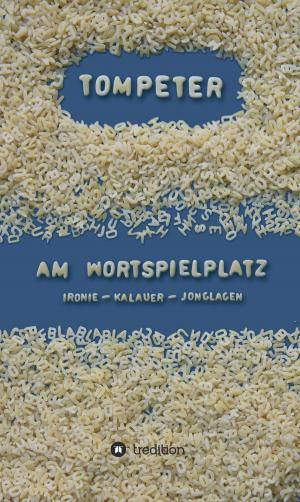 Cover of the book Am Wortspielplatz by Matthias Stäuble
