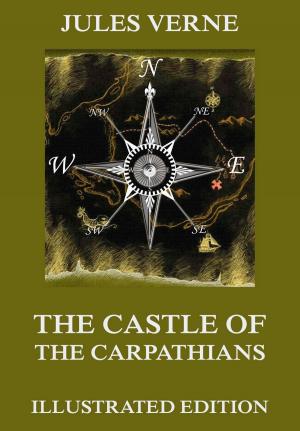 Cover of the book The Castle Of The Carpathians by René Descartes