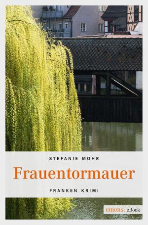 Cover of the book Frauentormauer by Richard Auer, Gerhard von Kapff