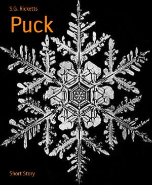 Cover of the book Puck by Vivian Anioke