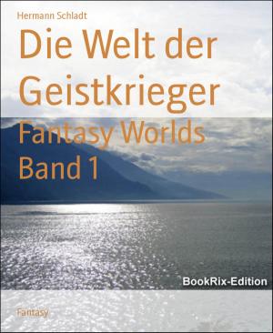Cover of the book Die Welt der Geistkrieger by Alfred J. Schindler