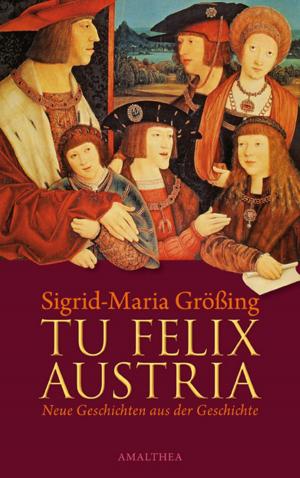 Cover of the book Tu felix Austria by RED NOSES Clowndoctors International