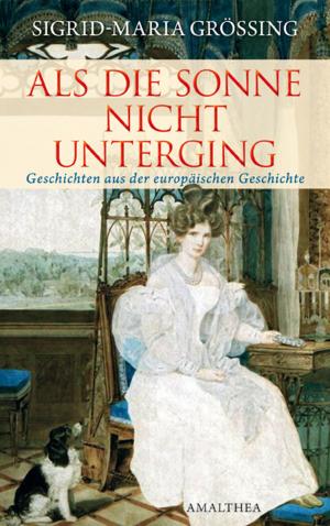 Cover of the book Als die Sonne nicht unterging by Erik Schinegger, Claudio Honsal