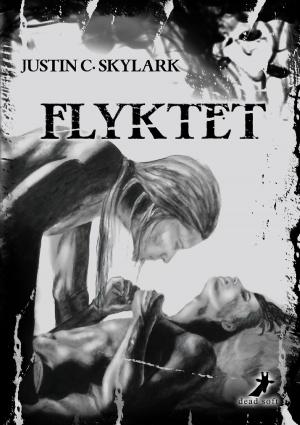 Cover of the book Flyktet by Lena Seidel, Toni Kuklik