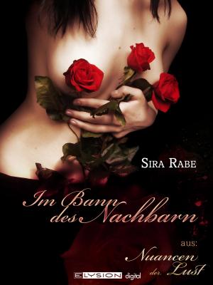 Cover of the book Im Bann des Nachbarn by Antje Ippensen