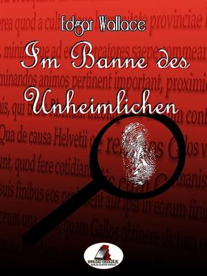 Cover of Im Banne des Unheimlichen