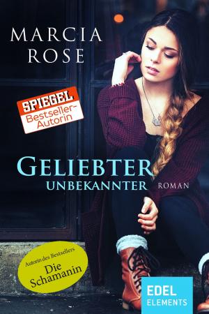 Cover of the book Geliebter Unbekannter by Marion Zimmer Bradley