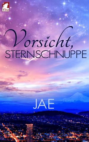 Cover of the book Vorsicht, Sternschnuppe by Ina Steg