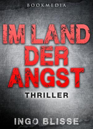 Book cover of Im Land der Angst: Thriller