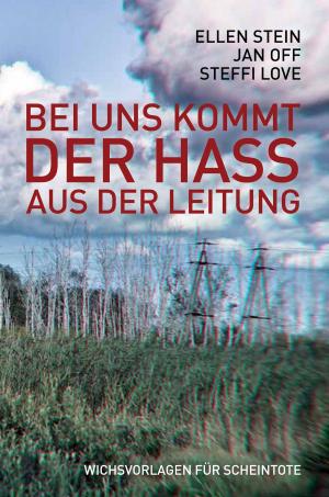 Cover of the book Bei uns kommt der Hass aus der Leitung by Stefan Kalbers