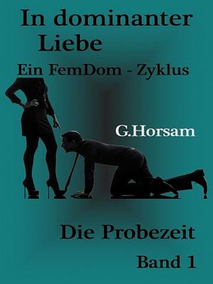 Cover of the book In dominanter Liebe - Band 1: Die Probezeit by Joachim Weiser